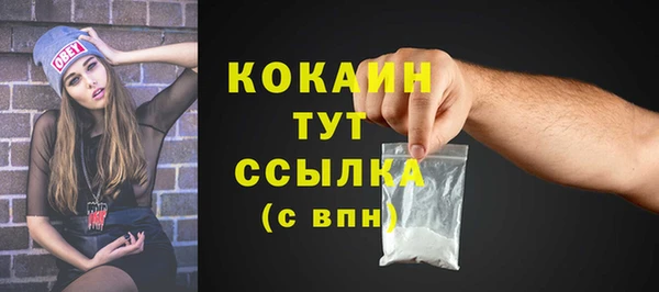 ALPHA PVP Бердск