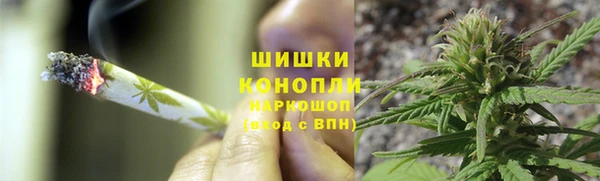 дмт Надым
