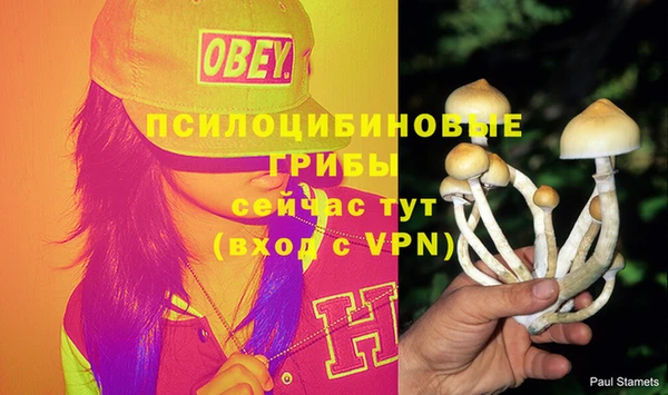 дмт Надым