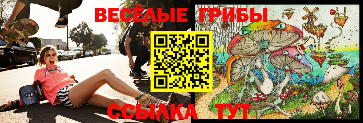Псилоцибиновые грибы GOLDEN TEACHER  Галлюциногенные грибы Psilocybe  Вход с VPN  цены наркотик  Советский 